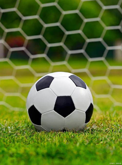 云站群和普通站群